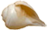 Прослушать